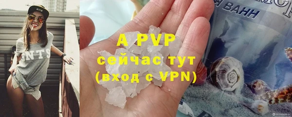 стаф Гусиноозёрск