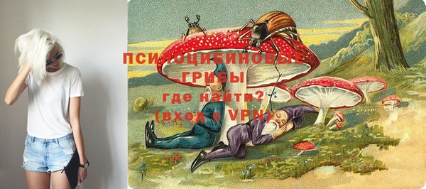 стаф Гусиноозёрск