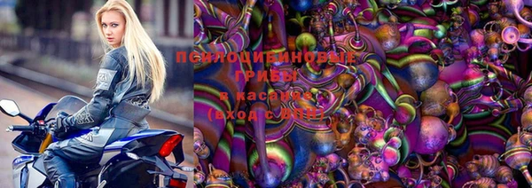 стаф Гусиноозёрск